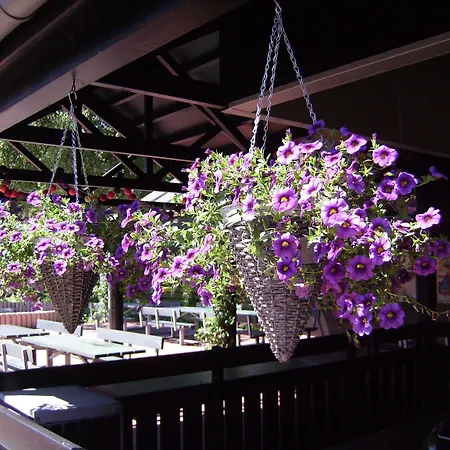 Aldeamento Turístico Byferie Ribe