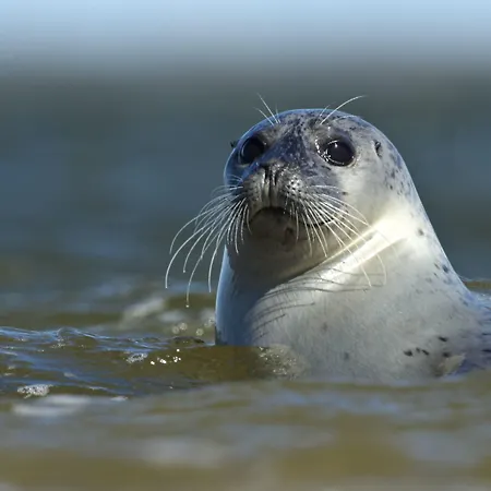 Byferie Aldeamento Turístico