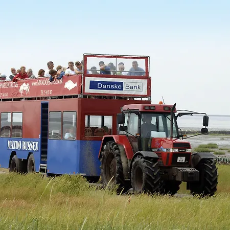 Holiday park Byferie Ribe