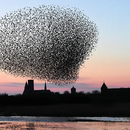 Byferie Vakantiepark