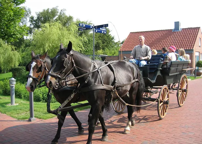 База отдыха Byferie 4*