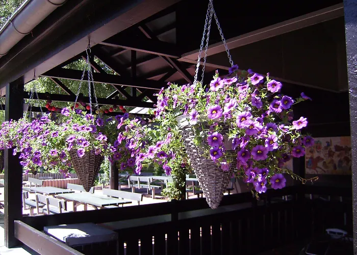 Vakantiepark Byferie Ribe