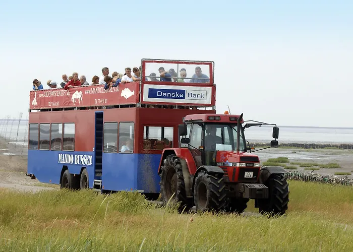 Vakantiepark Byferie Ribe