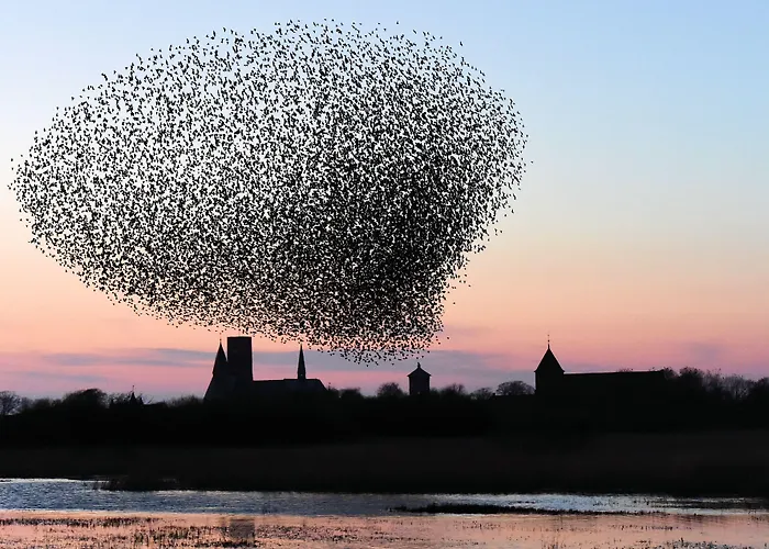 Byferie Vakantiepark